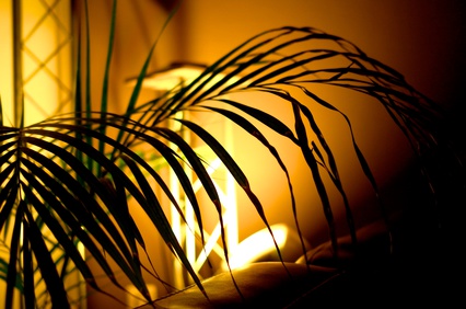 Licht schafft je nach Anwendung eine individuelle Atmosphäre. (© ivallis111 / fotolia.com)