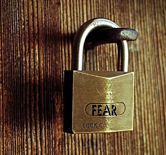 Bild: © Antranias – CC0 1.0 (Pixabay.com)