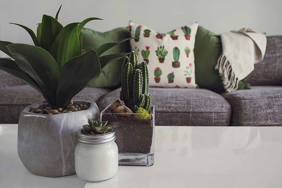 Foto: Designecologist / pexels.com