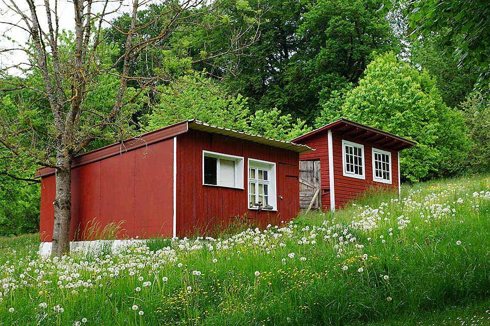 Die Idee vom Mini-Haus verbindet mehrere Wohnideen: Der ökologische Fußabdruck ist klein, denn der Wohnraum ist gering. Dafür setzen viele Tiny-Haus-Freunde auf reichlich Grünfläche rund ums Mini-Eigenheim. - Foto: pixabay.com © photosforyou (CC0 Public Domain)