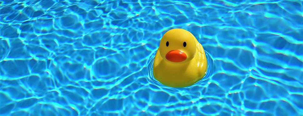 Foto: Mylene2401 / pixabay.com