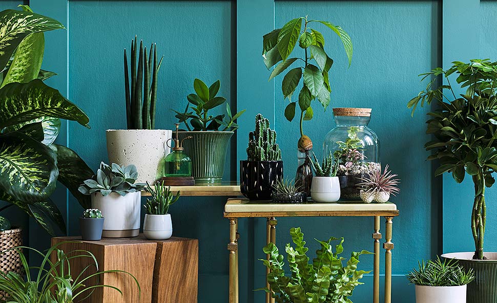Die Natur in die eigenen vier Wände bringen. Foto: FollowTheFlow / iStock.com
